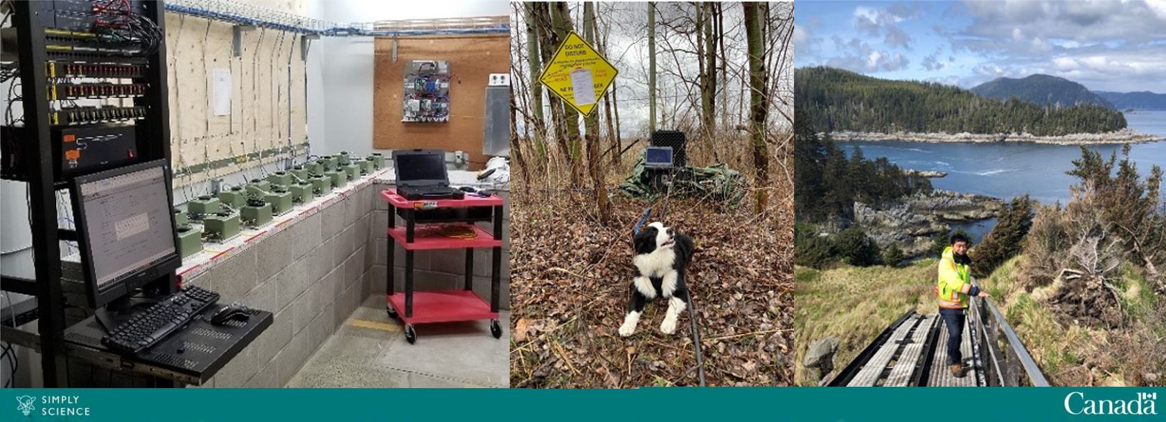 Compilation image showing sesmic equipment, a black-and-white dog in a forested area and a technologist standing on a bridge in a coastal area.